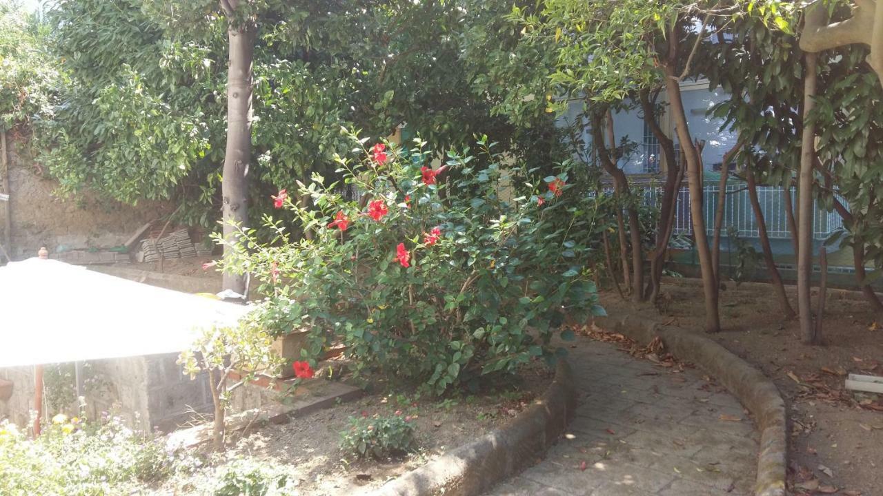 Casa Pollio Daire Meta Dış mekan fotoğraf